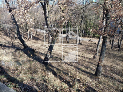 Local en Muntanyola Barcelona