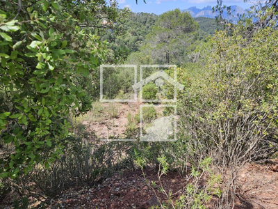 Local en Calle Roure Monjo    , Vacarisses Barcelona