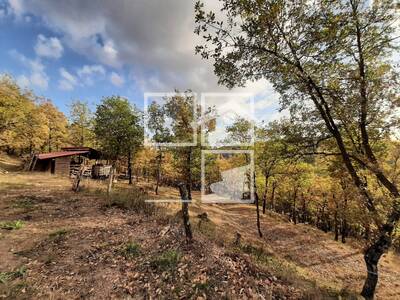Inmueble en RÃ STIQUES MUNTANYOLA, Barcelona