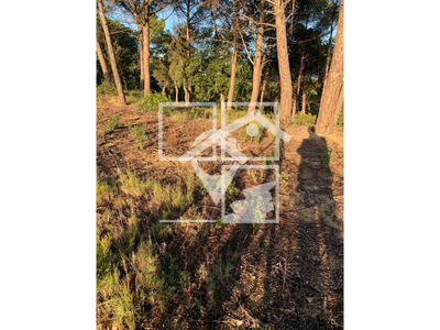 Inmueble en Calle Tarragona    , Barcelona