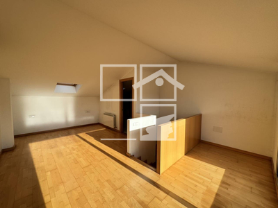 Local en Olot Girona