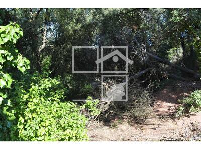 Inmueble en Carena Llarga, Barcelona