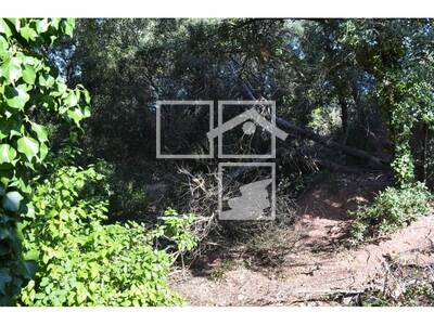 Inmueble en Carena Llarga, Barcelona